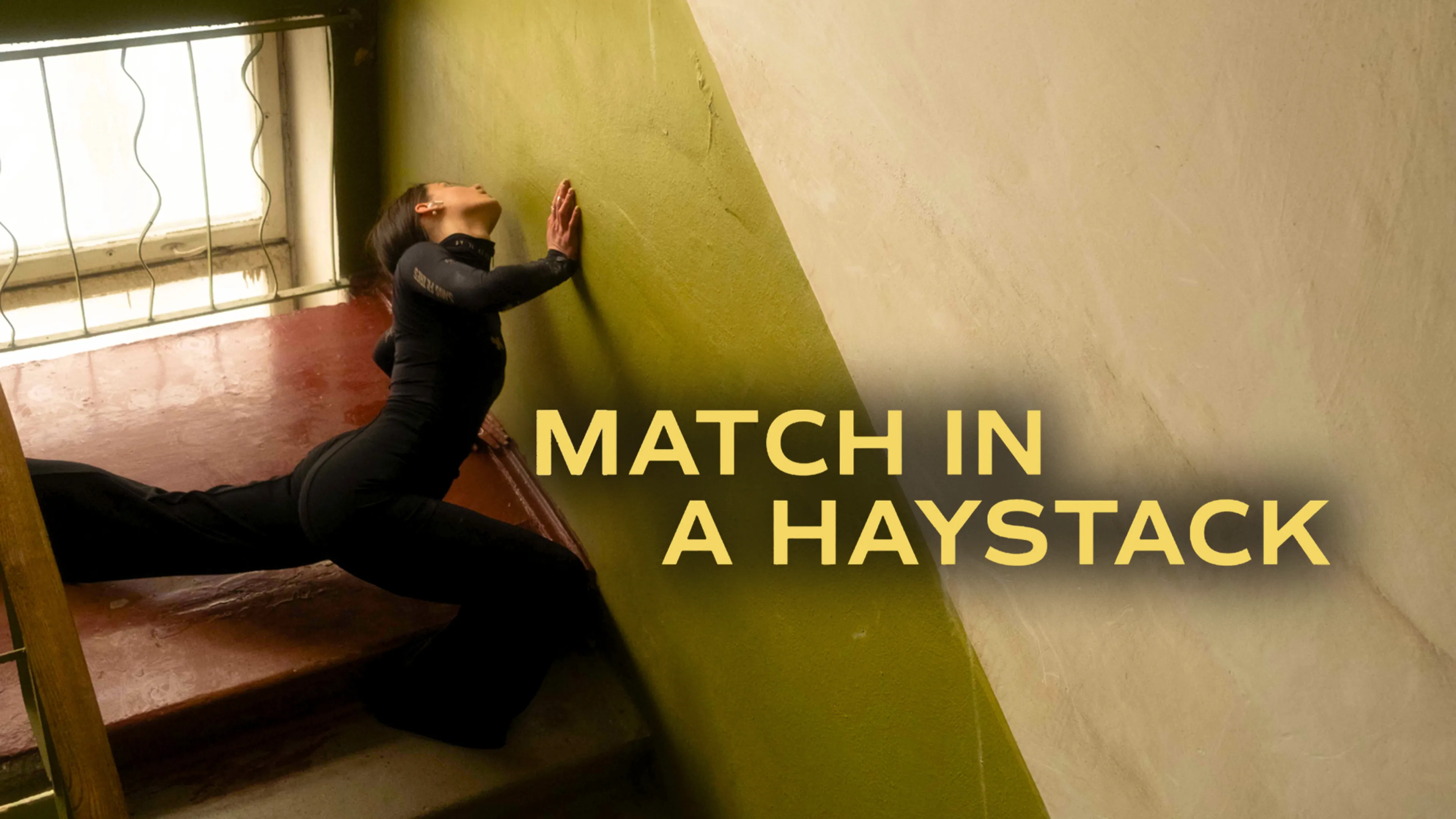 Match in a Haystack poster